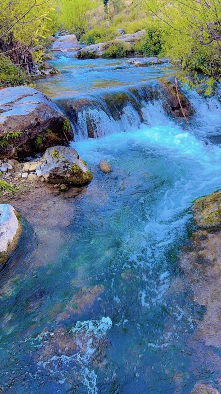 Rivulet Resort & Camping Mussoorie Bagian luar foto