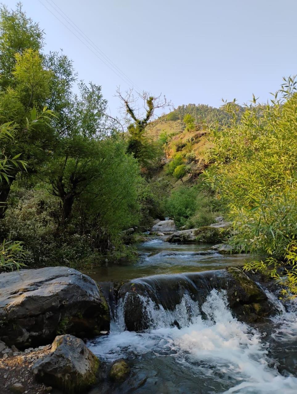 Rivulet Resort & Camping Mussoorie Bagian luar foto