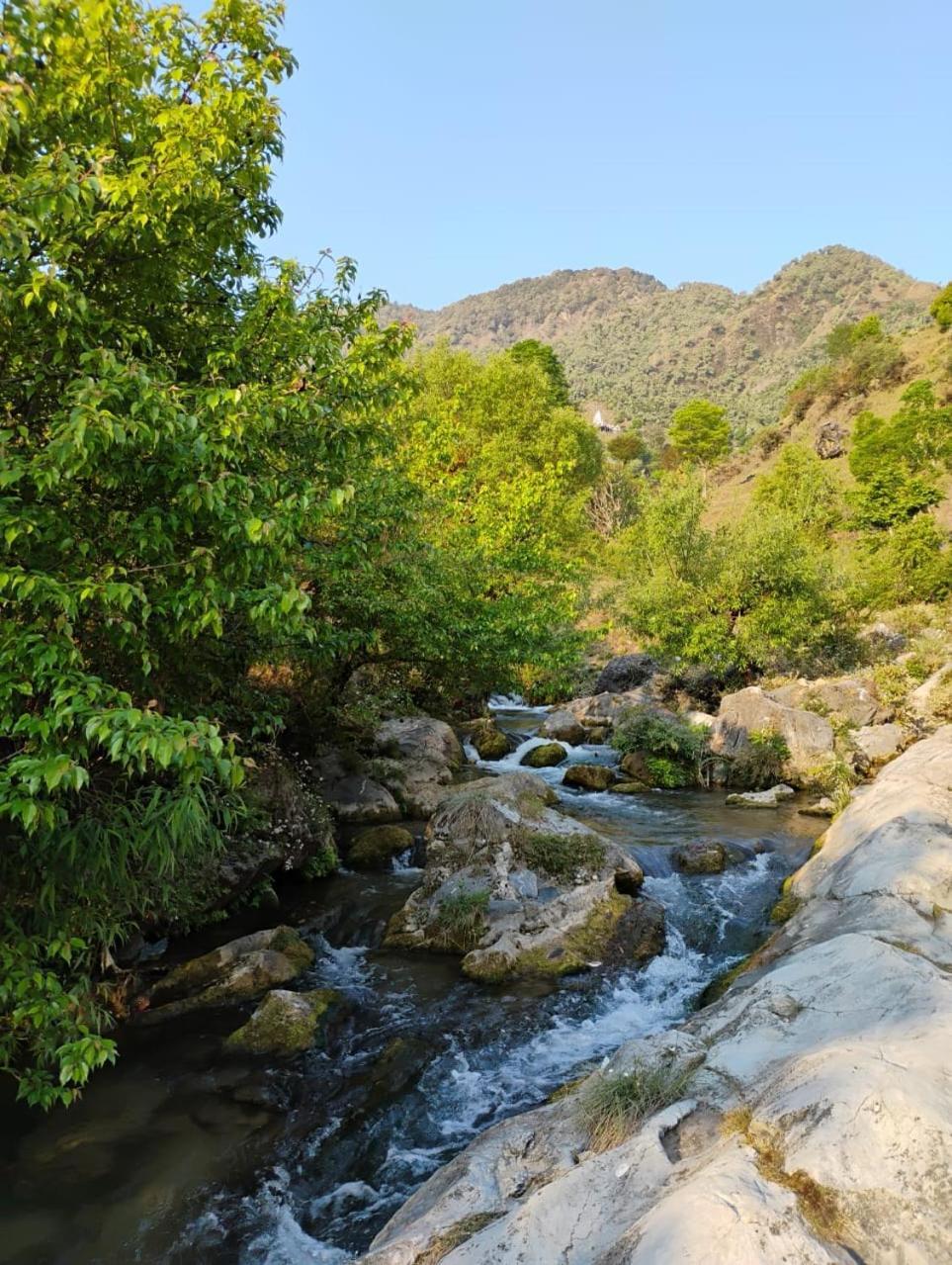 Rivulet Resort & Camping Mussoorie Bagian luar foto