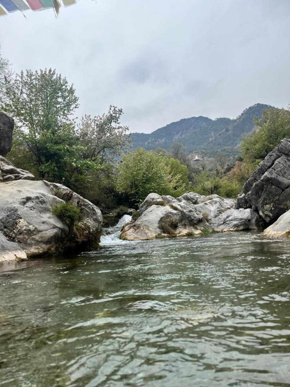 Rivulet Resort & Camping Mussoorie Bagian luar foto